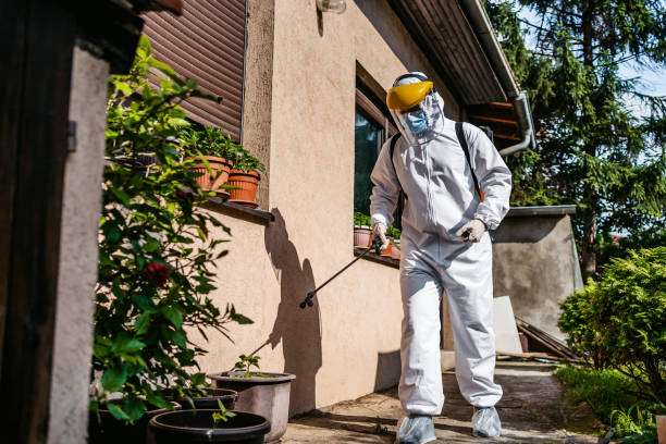 Best Best Pest Control Companies  in Timberlane, IL