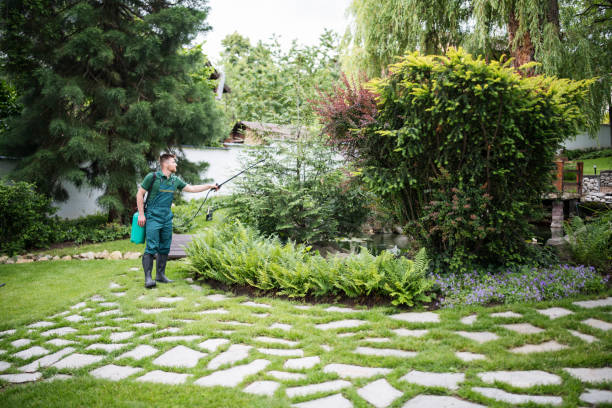 Best Bird Control  in Timberlane, IL