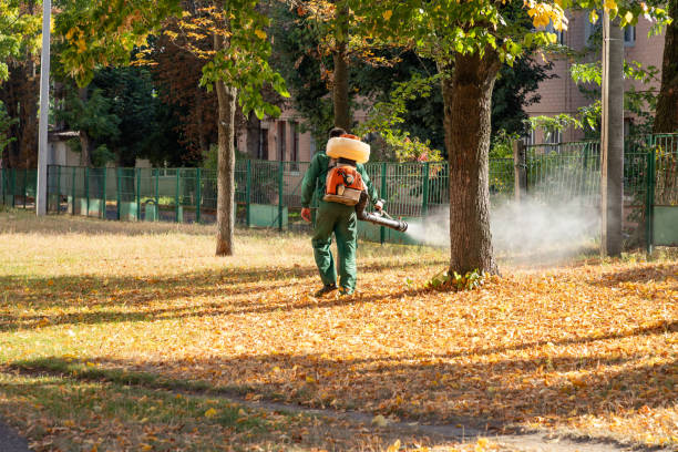 Best Insect Control  in Timberlane, IL