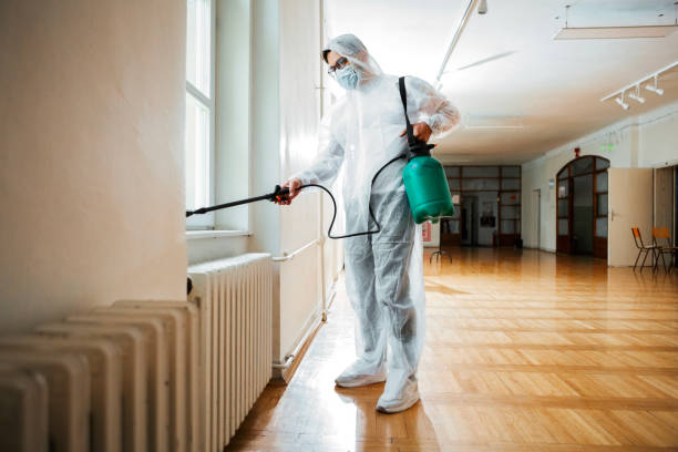 Best Wasp Removal Services  in Timberlane, IL